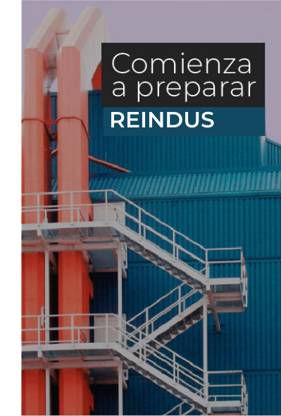 Reindus